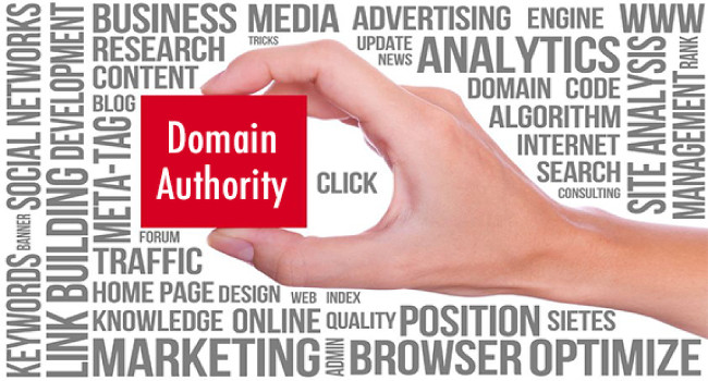 domain tulajdonos kereső